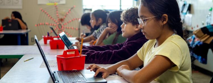 Students working on laptops in computer lab.
